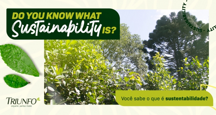  Do you know what sustainability is?