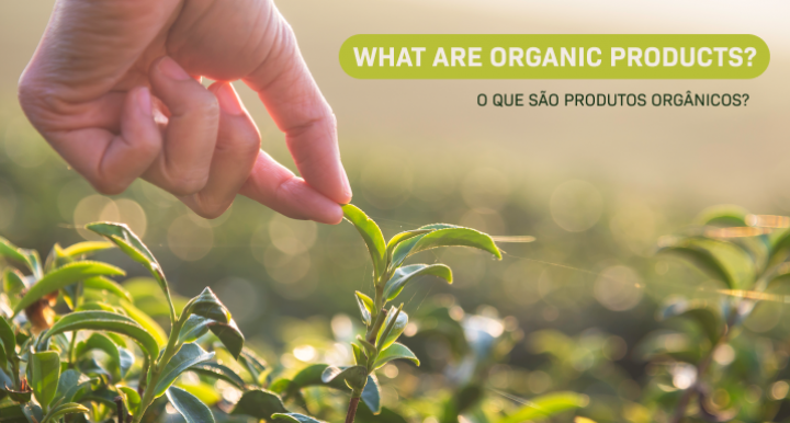 Discover the organic products and its benefits