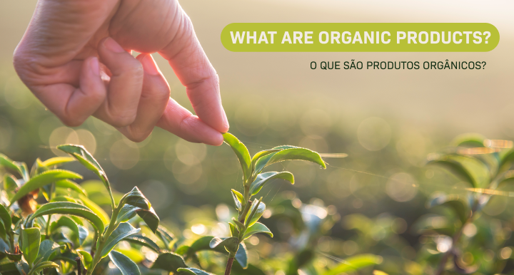  Entenda melhor sobre o que são produtos orgânicos e seus benefícios  
