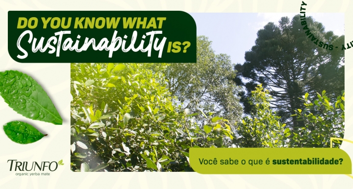 Você sabe o que é sustentabilidade?